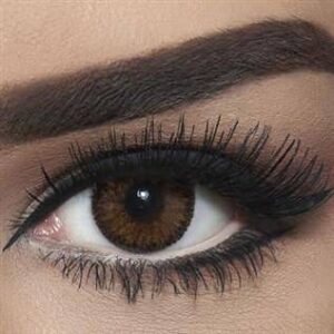 Bella Contour - Hazel  2 Lenses - Quarterly