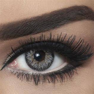 Bella Contour - Gray 2 Lenses - Quarterly