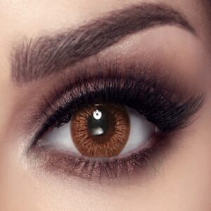 Bella Elite - Cinnamon Brown  2 Lenses - Quarterly
