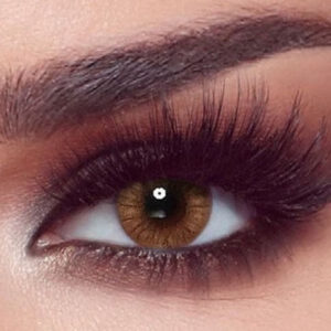 Bella One Day - Hazel Honey  10 Lenses – Daily
