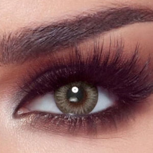 Bella One Day - Platinum Gray  10 Lenses - Daily