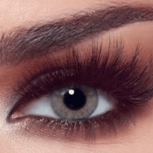 Bella One Day - Rosewood  One Day
