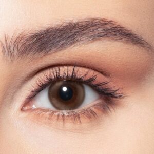 Bella One Day - Venus  10 Lenses – Daily